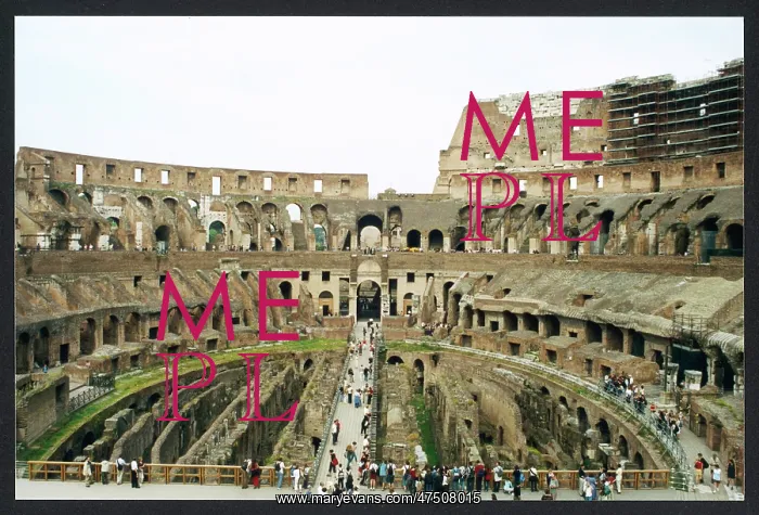: COLOSSEUM / ROME / ARENA : COLOSSEUM / ROME / ARENA