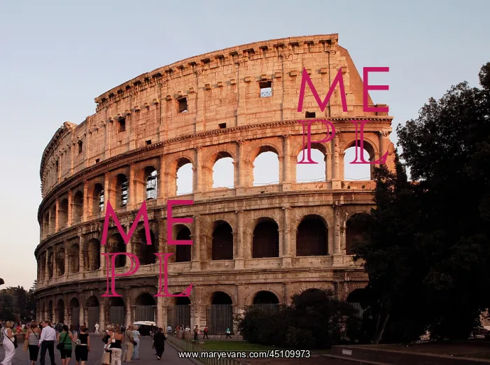 : Colosseum, Rome, Italy : Colosseum, Rome, Italy