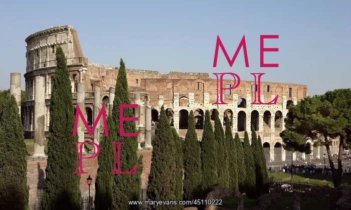 : Colosseum, Rome, Italy : Colosseum, Rome, Italy
