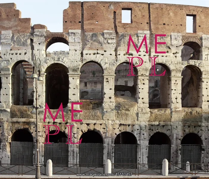 : Colosseum, Rome, Italy : Colosseum, Rome, Italy