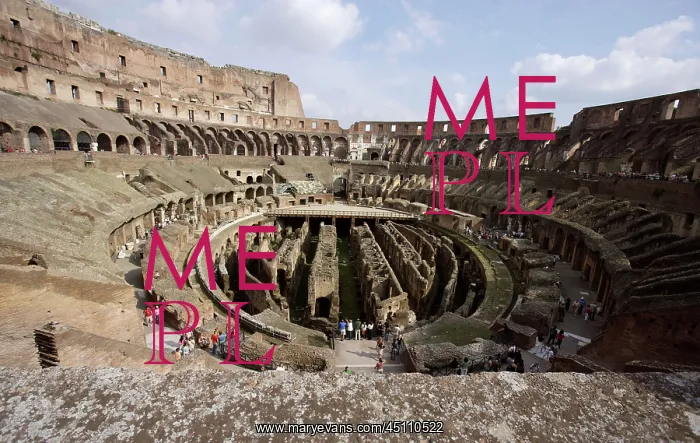 : Colosseum, Rome, Italy : Colosseum, Rome, Italy