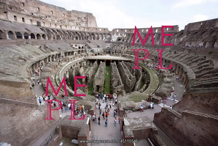 : Colosseum, Rome, Italy : Colosseum, Rome, Italy