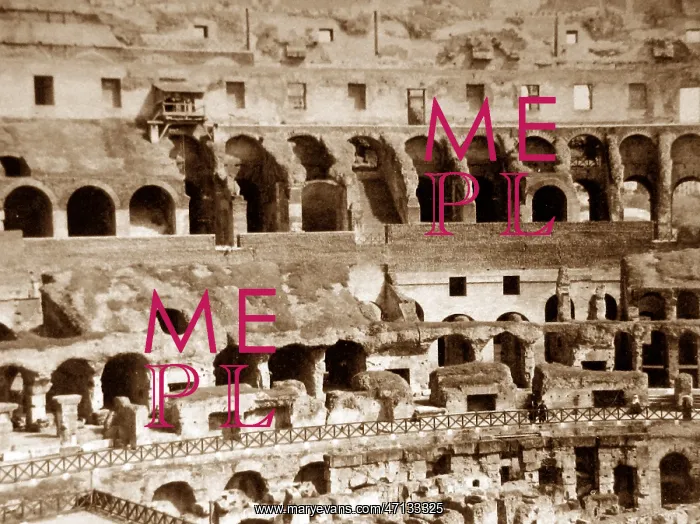  : The Colosseum, Rome, Italy