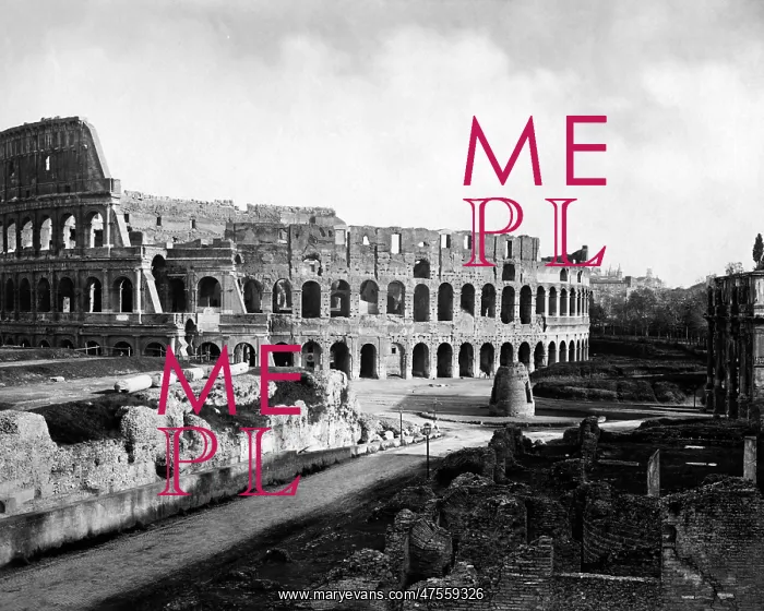 : Colosseum, Rome, Italy : Colosseum, Rome, Italy