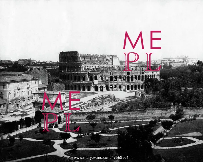 : Colosseum, Rome, Italy : Colosseum, Rome, Italy