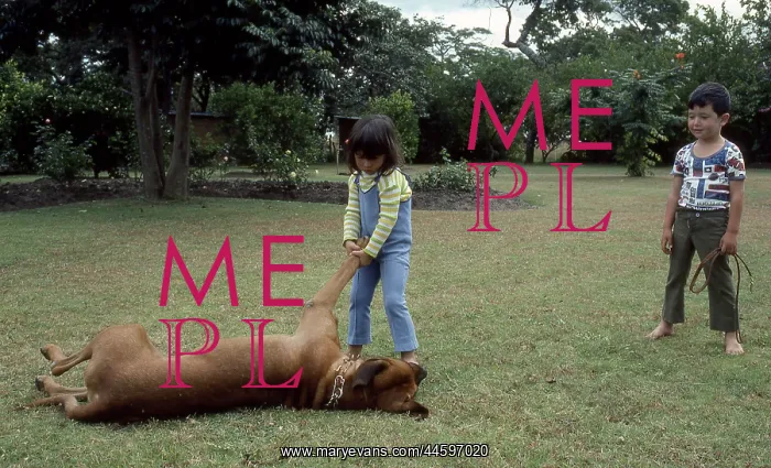 : Colour photo of two small children playing with : Colour photo of two small children playing with