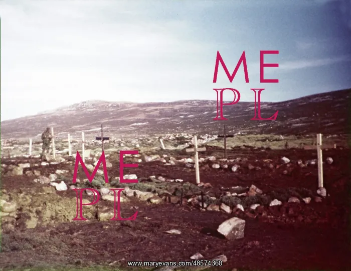 : Colour photograph of graves : Colour photograph of graves