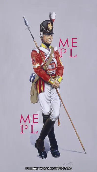 : Colour Sergeant - 37th Regiment of Foot : Colour Sergeant - 37th Regiment of Foot