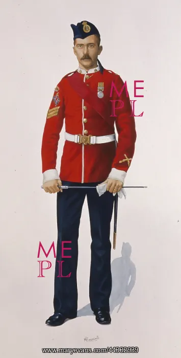 : Colour Sergeant - Duke of Wellington's Regiment : Colour Sergeant - Duke of Wellington's Regiment