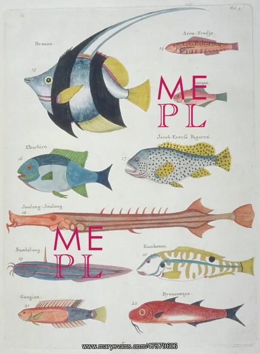 : Colourful illustration of ten fish : Colourful illustration of ten fish