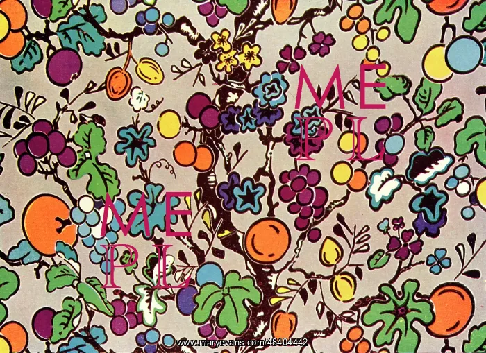 : Colourful pattern with oranges, lemons, grapes and flowers : Colourful pattern with oranges, lemons, grapes and flowers