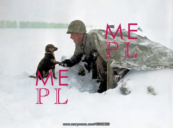 : Colourised Battle of the Bulge : Colourised Battle of the Bulge