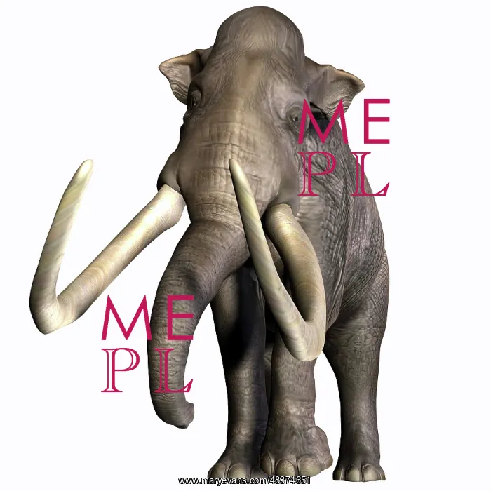 : Columbian Mammoth : Columbian Mammoth