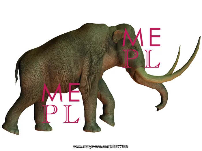 : The Columbian mammoth, an extinct species of elephant : The Columbian mammoth, an extinct species of elephant