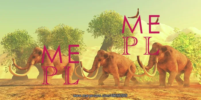 : A Columbian mammoth herd walks among trees in : A Columbian mammoth herd walks among trees in