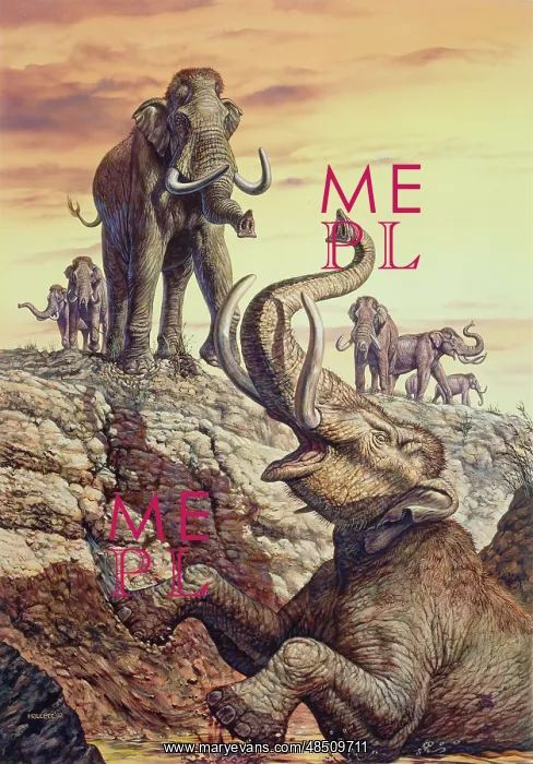 : Columbian Mammoth trapped in a sinkhole : Columbian Mammoth trapped in a sinkhole