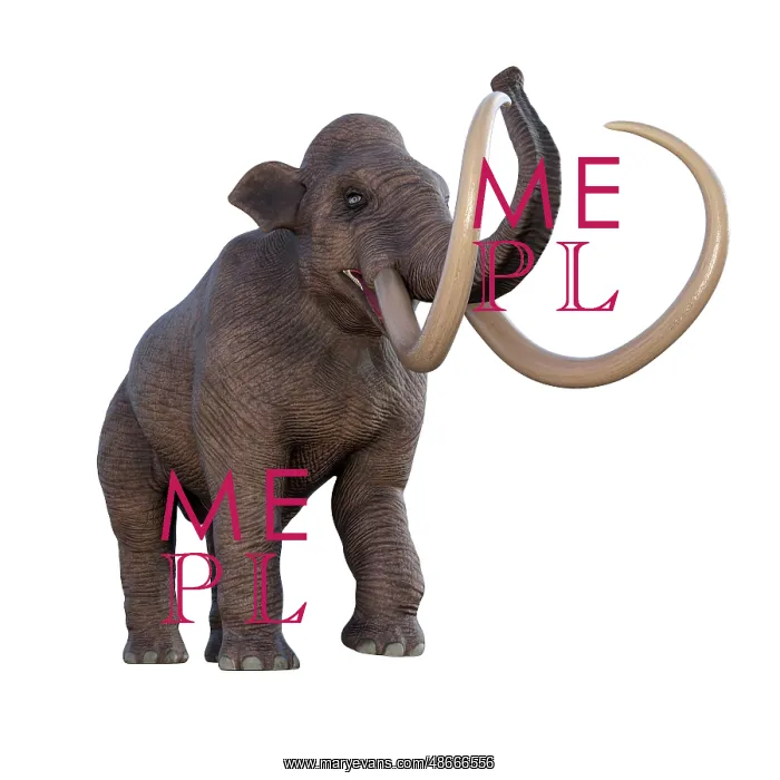: Columbian mammoth on white background : Columbian mammoth on white background