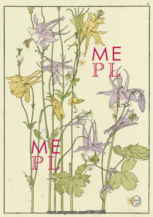 : Columbine. Decorative flower study by Jeannie Foord : Columbine. Decorative flower study by Jeannie Foord