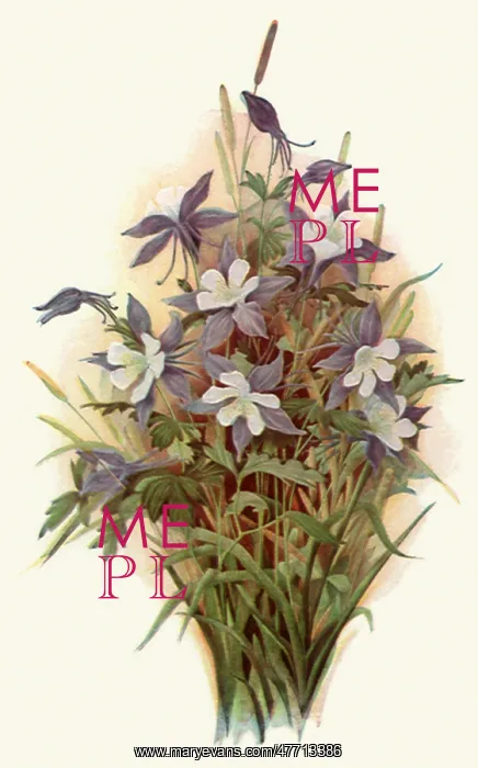 : Columbine : Columbine