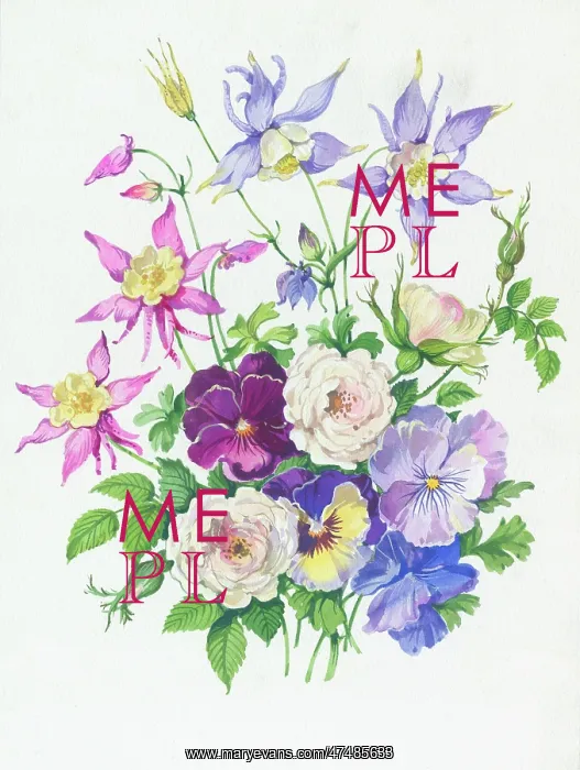  : Columbine, pansies and old roses
