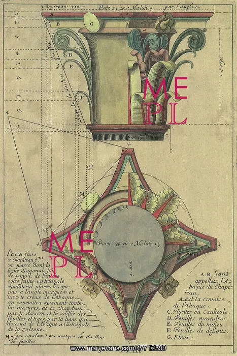  : Two Column Capital Views