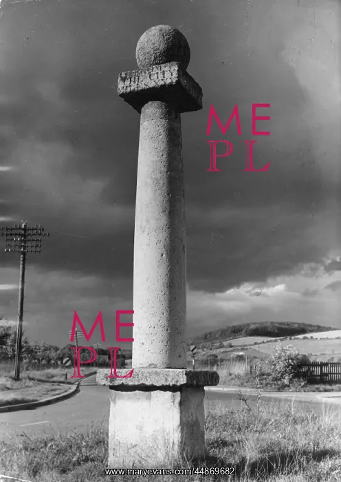 : COLUMN MILESTONE : COLUMN MILESTONE
