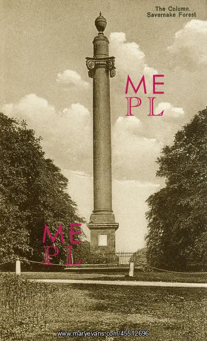 : The Column, Savernake Forest : The Column, Savernake Forest