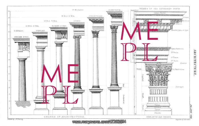  : COLUMNS / CLASSICAL
