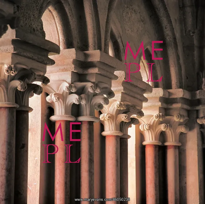 : Columns in the cloister : Columns in the cloister