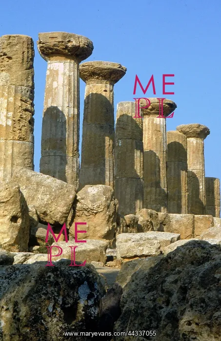 : Columns from the Doric Temple : Columns from the Doric Temple