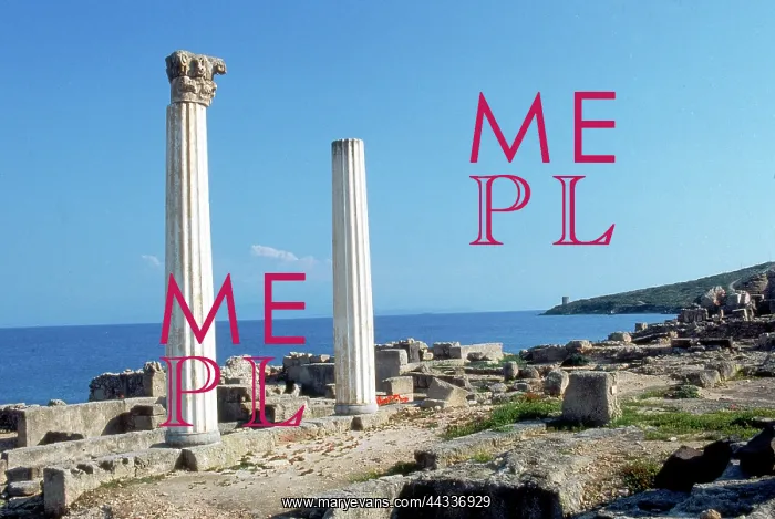 : Columns from the Roman-era settlement : Columns from the Roman-era settlement