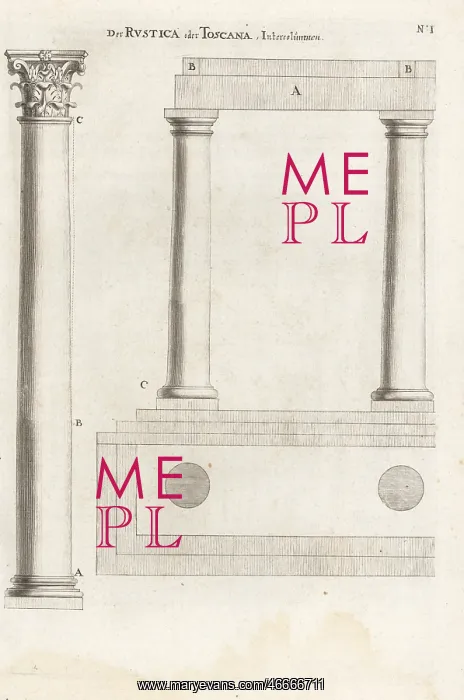 : Columns of the Rustic or Tuscan Order : Columns of the Rustic or Tuscan Order