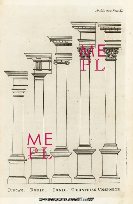 : Columns of the various orders of classical architecture : Columns of the various orders of classical architecture