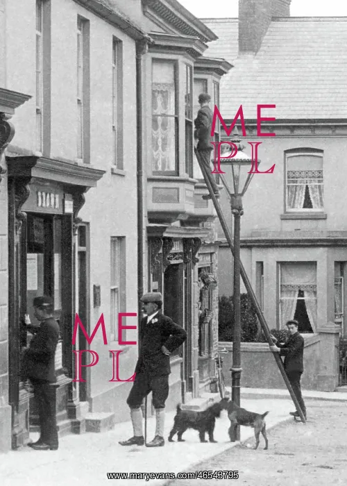  : Colyton, Window Cleaner 1907