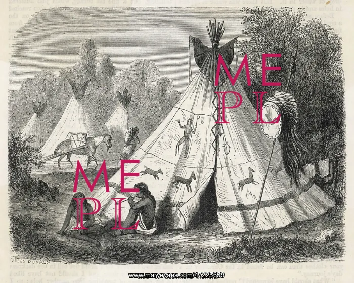  : COMANCHE TEPEES