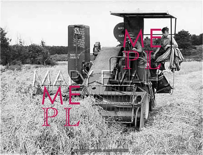 : COMBINE HARVESTER 1950S : COMBINE HARVESTER 1950S