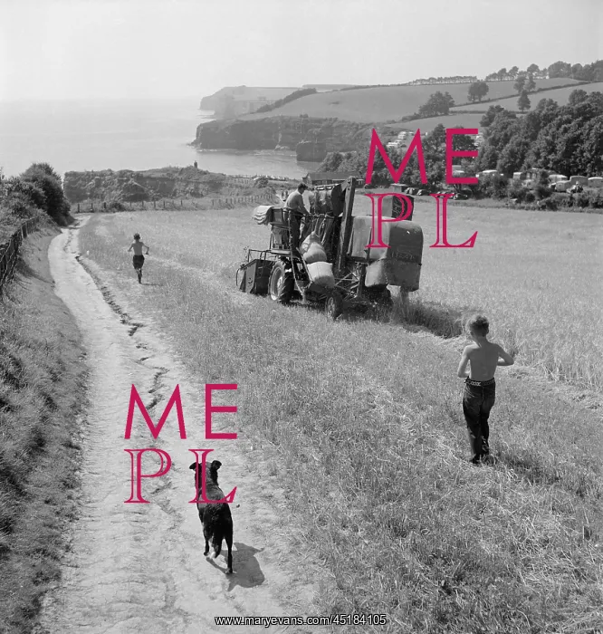 : Combine Harvester : Combine Harvester