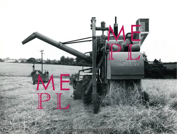: Combine harvester at work in a field, Cornwall : Combine harvester at work in a field, Cornwall