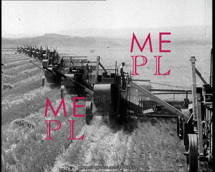 : Combine Harvesters Crossing Large Fields : Combine Harvesters Crossing Large Fields