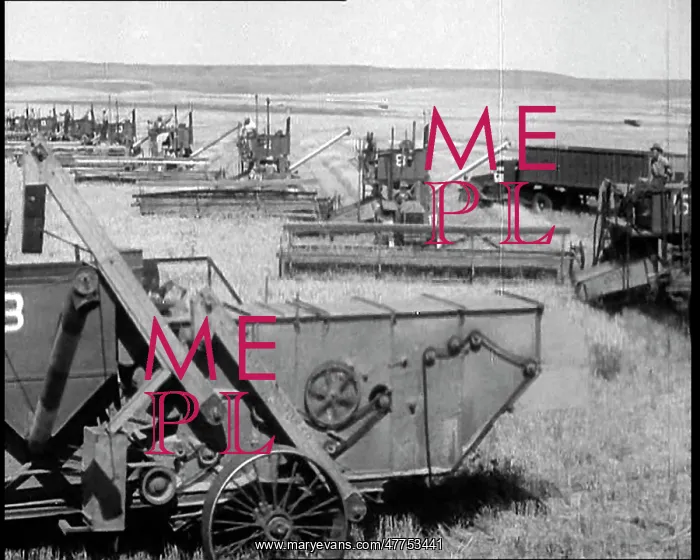 : Combine Harvesters Crossing Large Fields : Combine Harvesters Crossing Large Fields