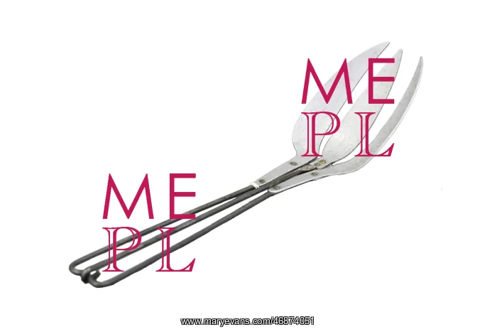 : Combined Spoon and Fork : Combined Spoon and Fork