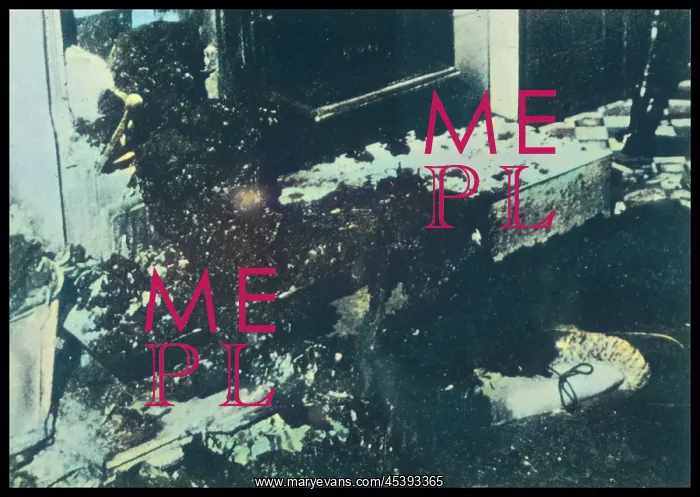 : COMBUSTION / HUMAN : COMBUSTION / HUMAN