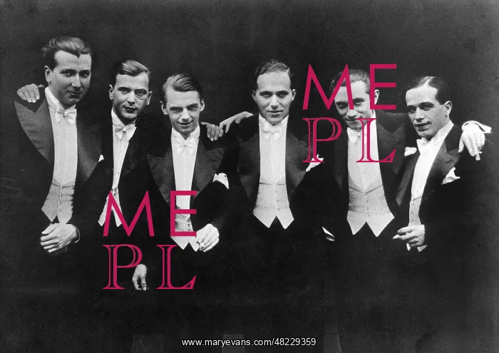 : The Comedian Harmonists : The Comedian Harmonists
