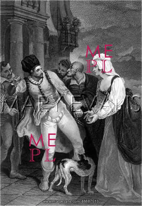  : THE COMEDY OF ERRORS
