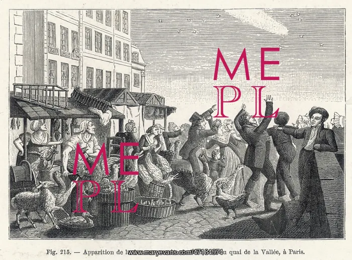 : COMET OF 1811 OVER PARIS : COMET OF 1811 OVER PARIS