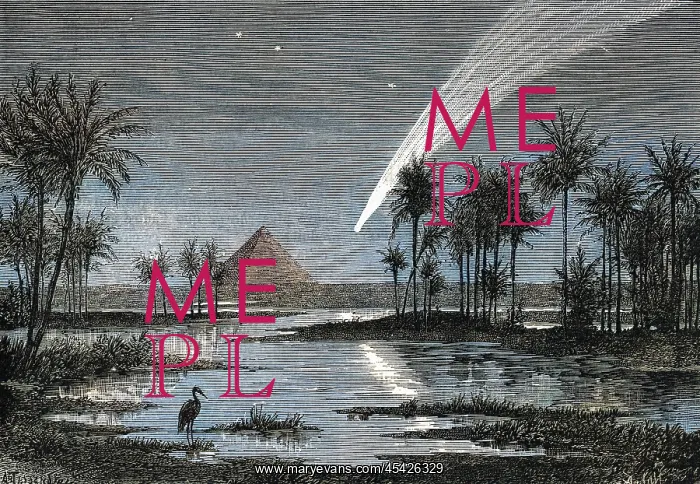  : COMET 1882
