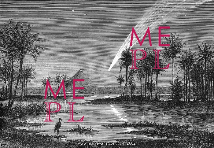  : COMET 1882