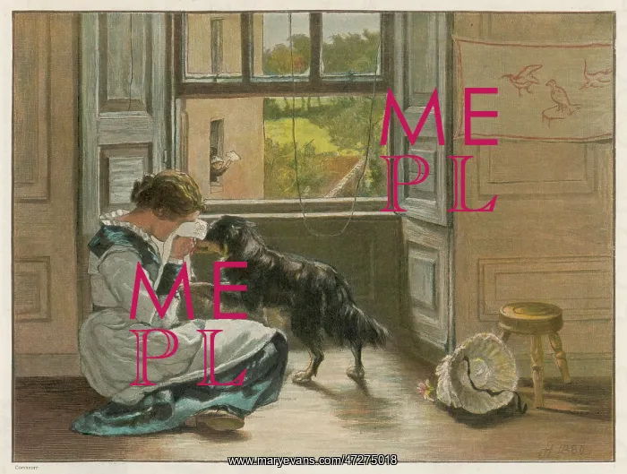 : COMFORTED BY DOG : COMFORTED BY DOG