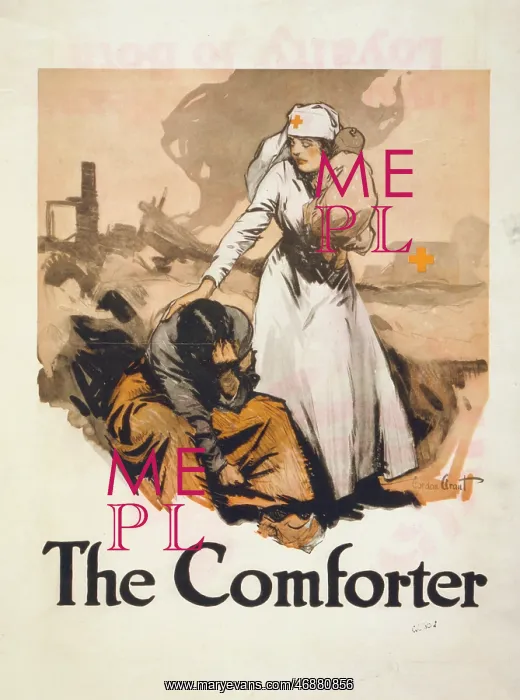 : The comforter : The comforter