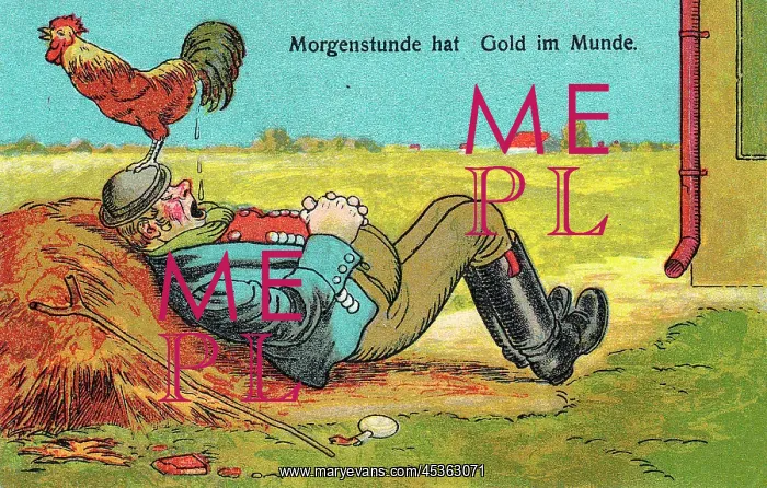 : Comic German postcard -- cockerel and sleeping man : Comic German postcard -- cockerel and sleeping man